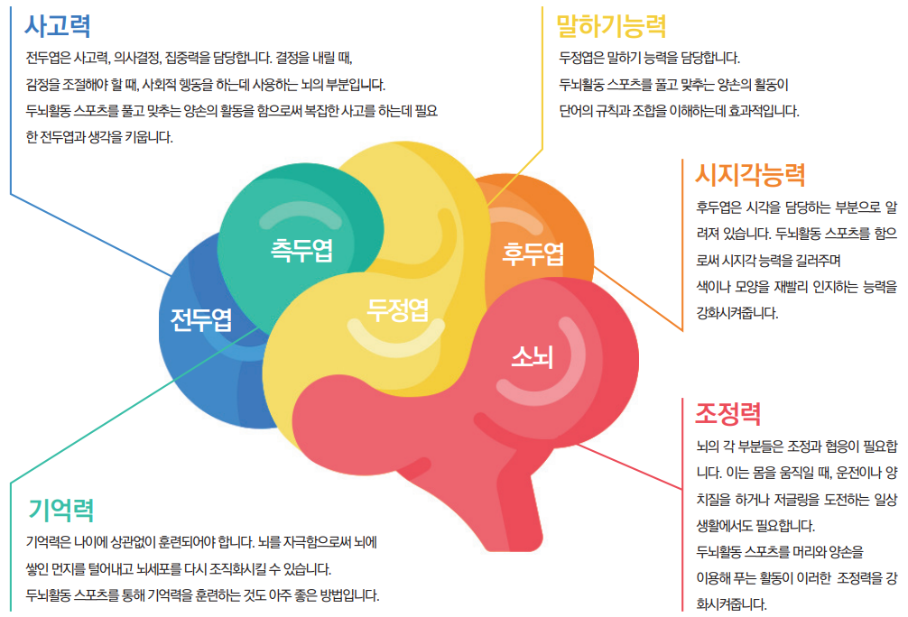 두뇌영역 다이어그램