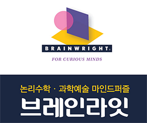 브레인라잇